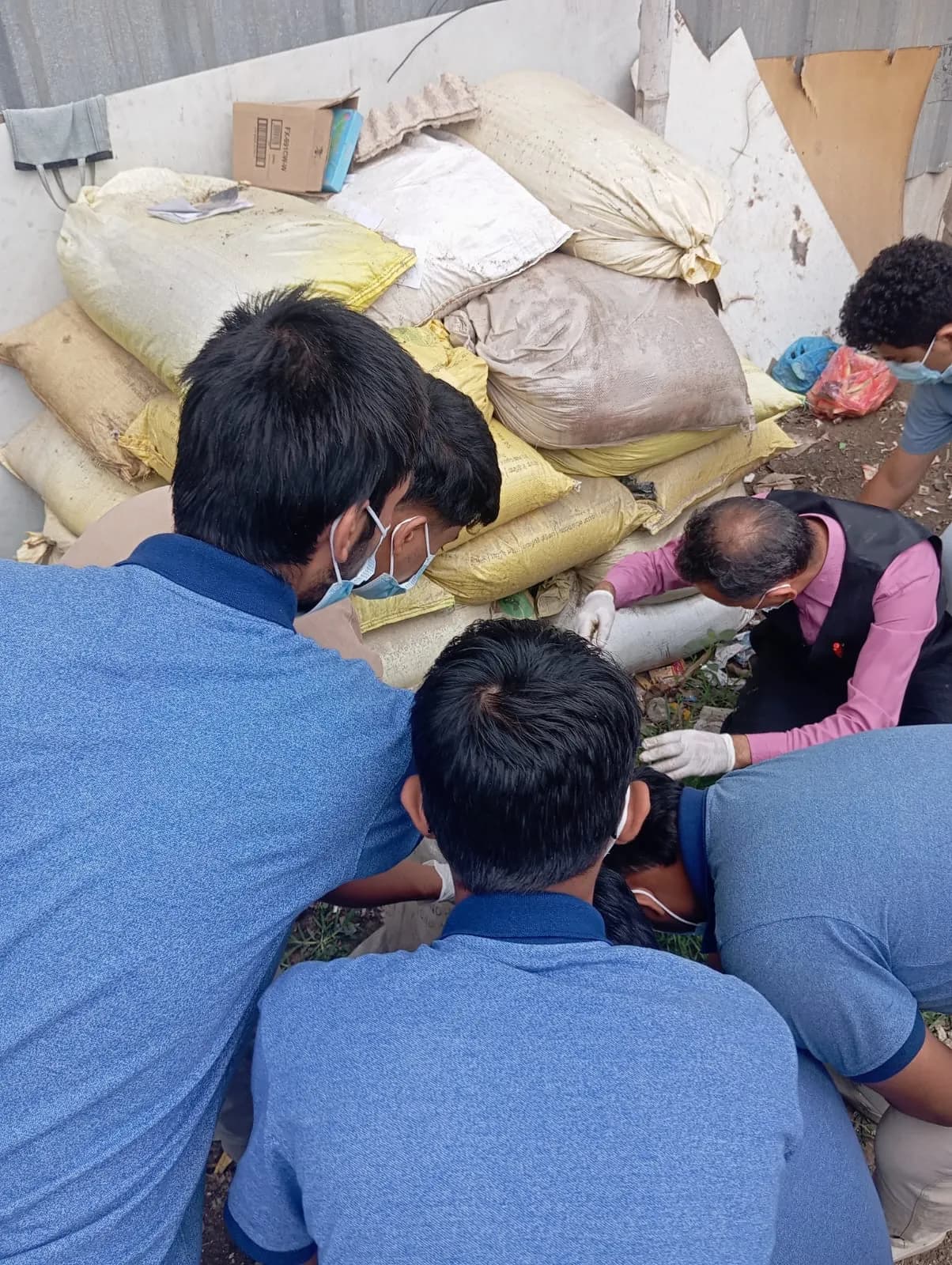 World Environment Day (Jun 5, 2025) — photo 8